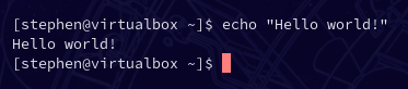 Running a basic "echo" command